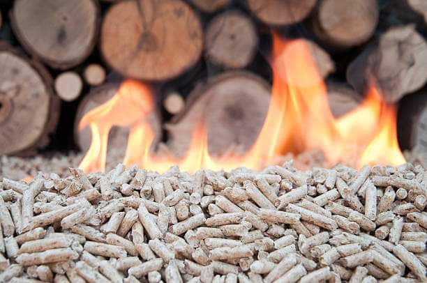 pine pellets in flames selective focus on the heap