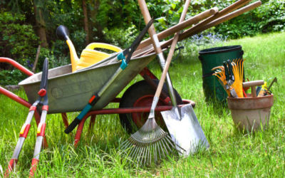 various gardening tools in the garden background