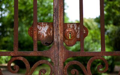 rusty gate in a park